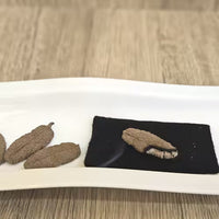 防火棉 - 圖2